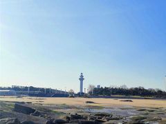 -渡海小渔村.老辈日照菜