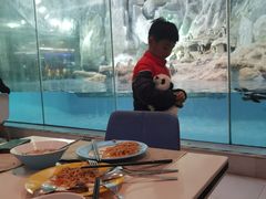 -帝企鹅自助餐厅•儿童岛•真企鹅(长隆企鹅酒店)