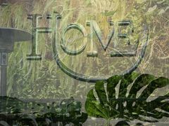 -HOME餐厅粤菜 融合菜