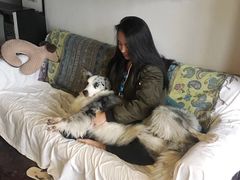 -西涌国际滨海旅游区