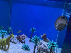 -上海海昌海洋公园