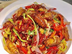 -红东阁东北菜烤肉酒馆(CROSS万象汇店)