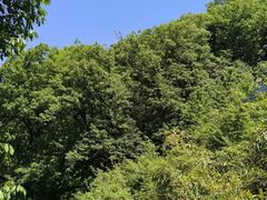 -终南山南五台景区