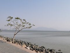 -深圳湾公园(南山区)