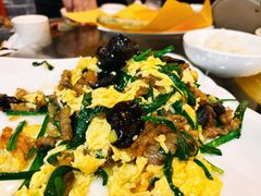皮虾木须肉-盛德利食府 天津菜(河西店)