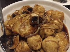-食为先(Shark Fin)
