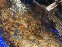 -锅儿欢海鲜火锅烤肉自助餐(东港凯虹店)
