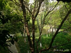 后花园-王之雄社区养生馆(上海春城店)