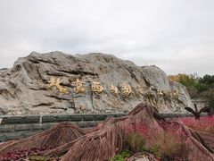 -北京西山国家森林公园