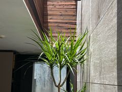 -villaa·别墅·融合菜西餐厅