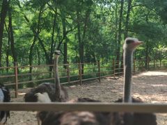 -秦皇岛野生动物园