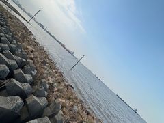 -上海滨江森林公园