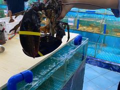 -琼大师东方烤乳猪(亚特兰蒂斯店)