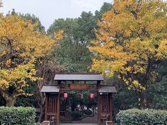 -穹窿山景区
