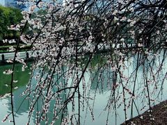 -白塘生态植物园