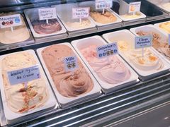 -Dooley's Premium Ice Cream