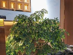 -南山翁新概念川菜(江宁万达广场店)