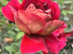 -人民公园(罗湖区)