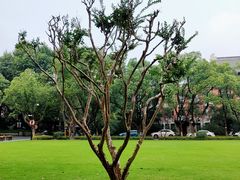-浙江大学(玉泉校区)