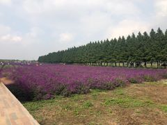 -嘉北郊野公园