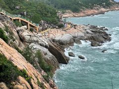 -广东惠东海龟国家级自然保护区