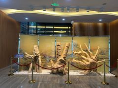 -香市公园-中国沉香文化博物馆
