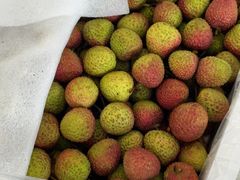 妃子笑-西郊国际农产品交易中心