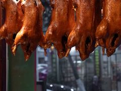 -春梅里卤鹅馆·47年老字号(中山路店)