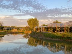 -马陆小张葡萄园农家乐