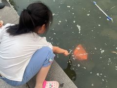 -南翔镇银翔湖公园