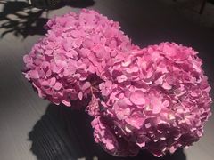 -gaga(深圳福田星河COCO Park店)