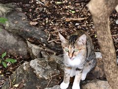 -青州市云门山风景区