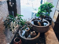 -中8楼风尚云南菜(颐堤港店)