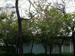 android_upload_pic-上海千禧海鸥大酒店