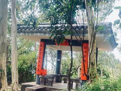 -青青世界