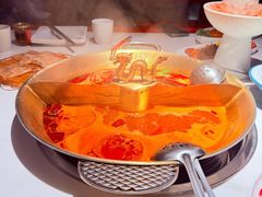 -小龙翻大江文化火锅(宽窄店)
