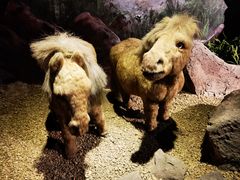 -抚顺煤矿博物馆