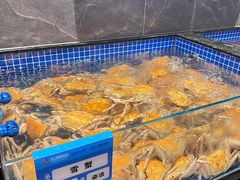 -东海怡品海鲜豆捞(星街坊店)