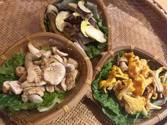 -滇野云南野生菌餐厅(陕西南路店)