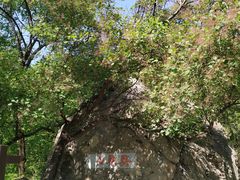 -阳台山自然风景区