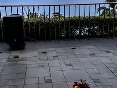 -日落吧·海景咖啡厅·餐酒吧·鸡尾酒·下午茶·乐队表演·浪漫夕阳·三亚文华东方酒店