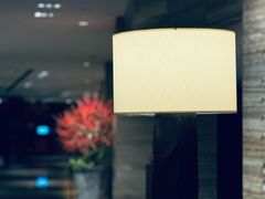 -广州白天鹅宾馆