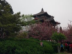 -西安青龙寺遗址景区