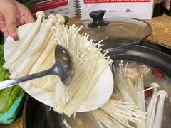 -濠轩阁特色生蚝火锅(水湾路店)