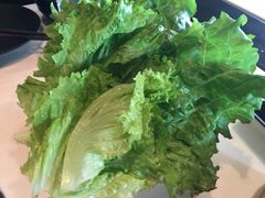 生菜-滇釜火锅·能喝汤的火锅(车公庄店)