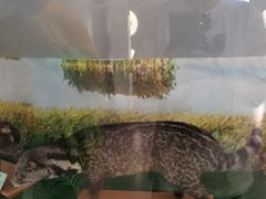 -下渚湖国家湿地公园科普馆