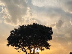-正定古城-开元寺