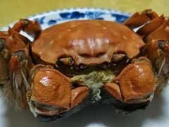 大闸蟹-聚丰园.百年传承(五爱广场店)