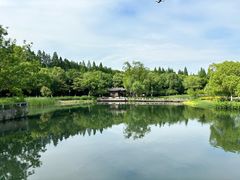 -尚湖风景区