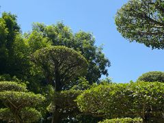 -南宁南湖公园